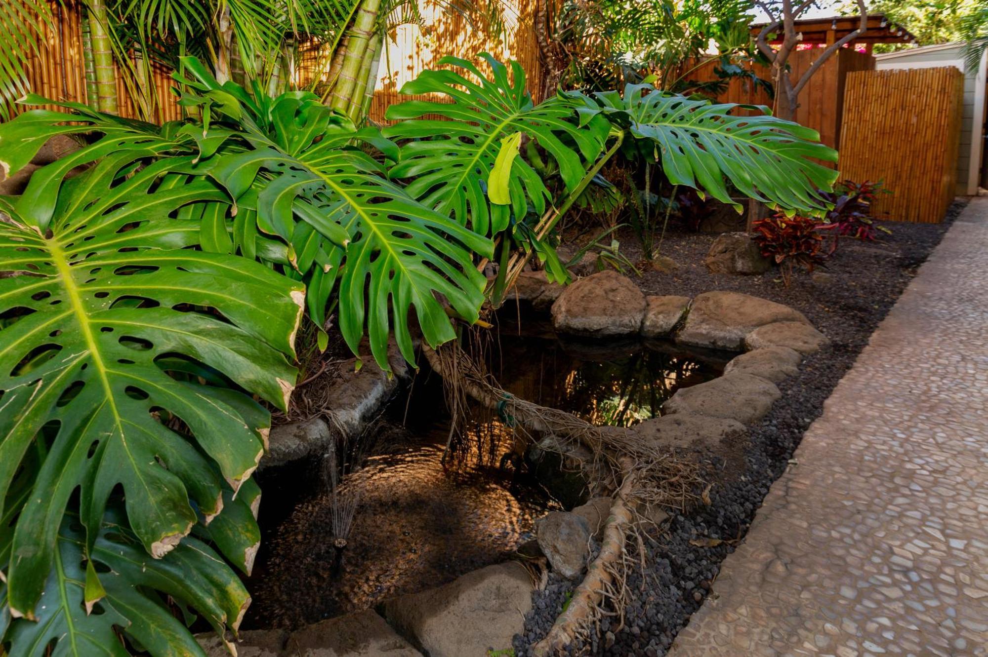 Lotus Suite, 1 Bedroom, Sleeps 4, Pool & Bbq, Pre-Renovation Summer Sale Kihei Exterior photo